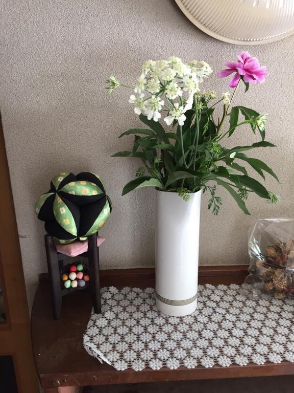 Momoya Lake Saiko Hotell Fujikawaguchiko Eksteriør bilde